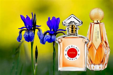 iris fragrance for women